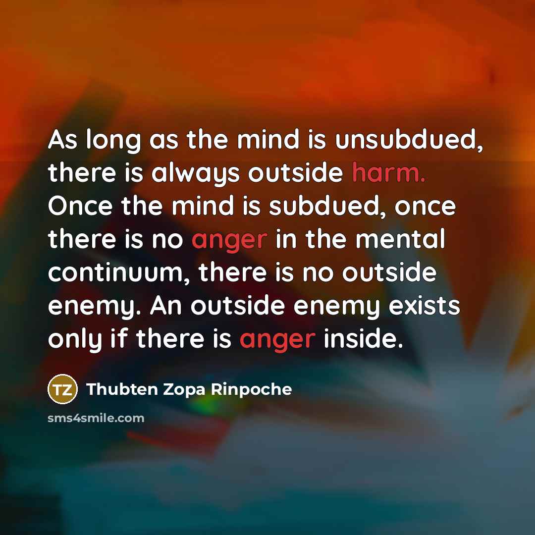 “As long as the mind is unsubdued, there is always outside harm. Once the mind is subdued, once there is no anger in the mental continuum, there is no outside enemy. An outside enemy exists only if there is anger inside.” quote by Thubten Zopa Rinpoche