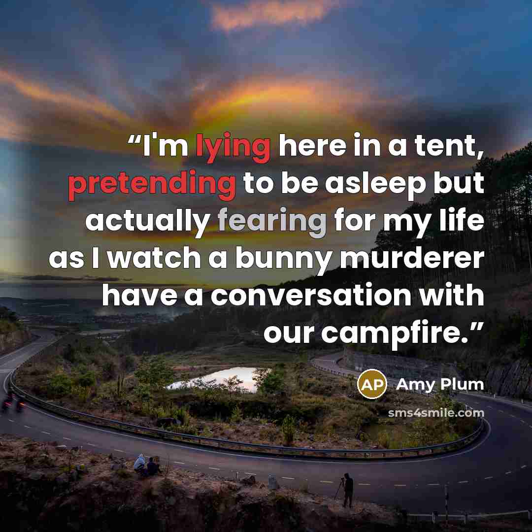 “I'm lying here in a tent, pretending to be asleep but actually fearing for my life as I watch a bunny murderer have a conversation with our campfire.” quote by Amy Plum