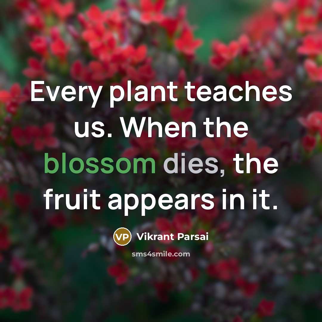 “Every plant teaches us. When the blossom dies, the fruit appears in it.” quote by Vikrant Parsai