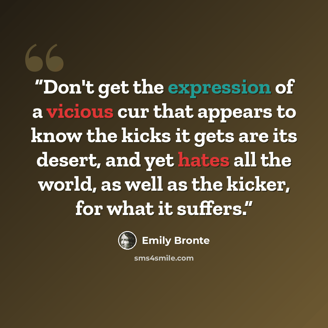 “Don't get the expression of a vicious cur that appears to know the kicks it gets are its desert, and yet hates all the world, as well as the kicker, for what it suffers.” quote by Emily Brontë