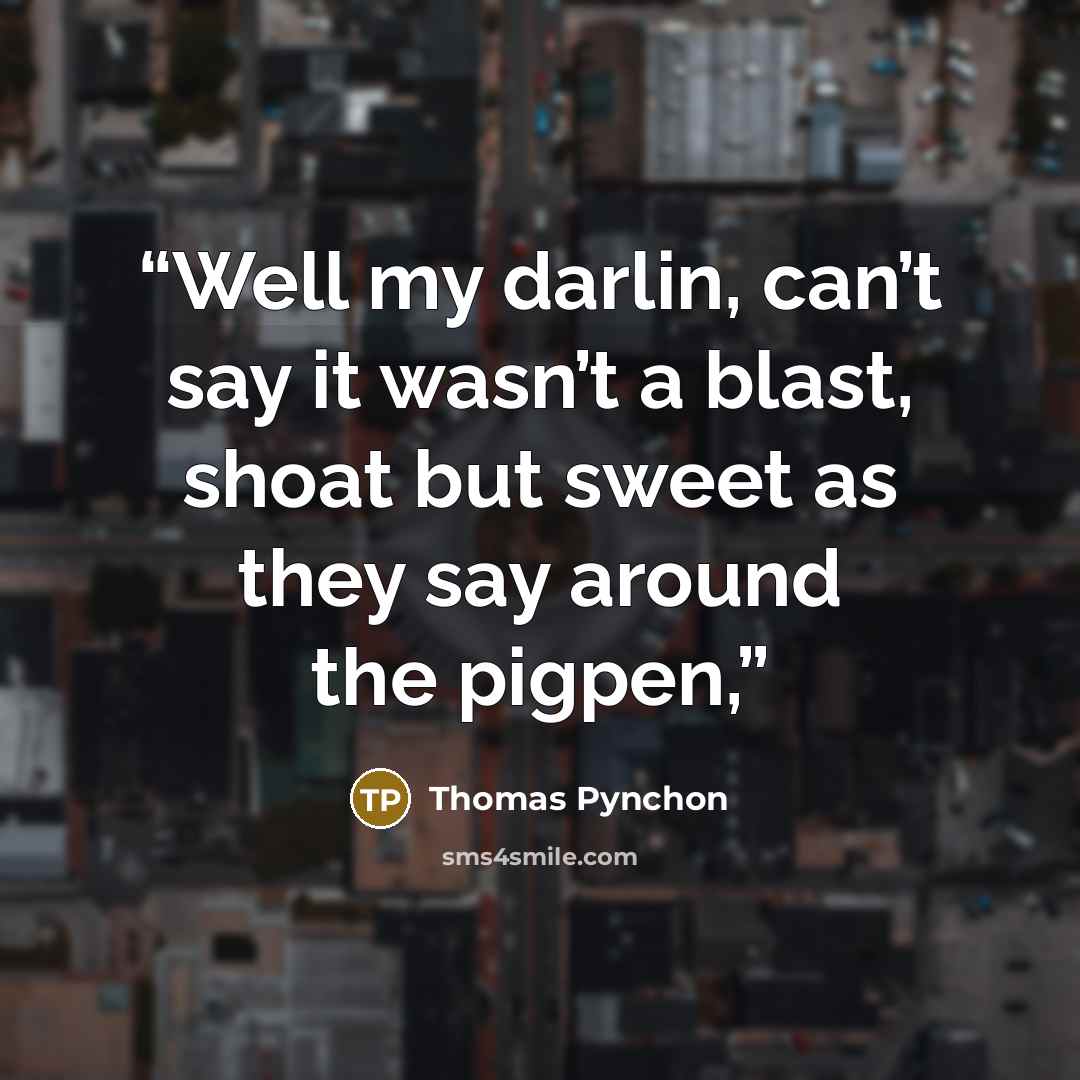 “Well my darlin, can’t say it wasn’t a blast, shoat but sweet as they say around the pigpen,” quote by Thomas Pynchon