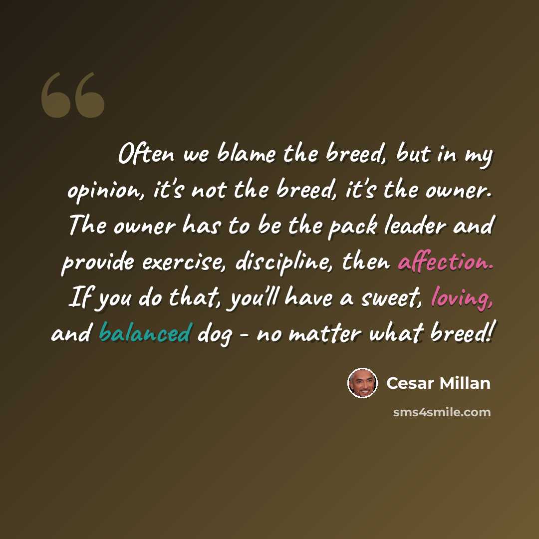 “Often we blame the breed, but in my opinion, it's not the breed, it's the owner. The owner has to be the pack leader and provide exercise, discipline, then affection. If you do that, you'll have a sweet, loving, and balanced dog - no matter what breed!” quote by Cesar Millan
