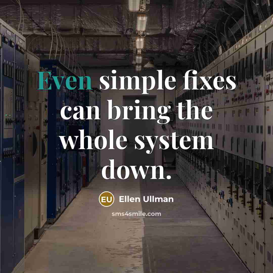 “Even simple fixes can bring the whole system down.” quote by Ellen Ullman