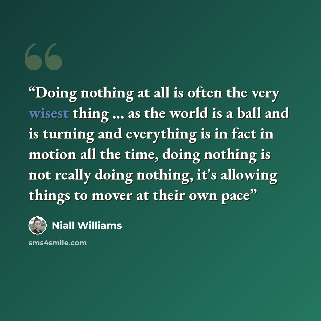“Doing nothing at all is often the very wisest thing ... as the world is a ball and is turning and everything is in fact in motion all the time, doing nothing is not really doing nothing, it's allowing things to mover at their own pace” quote by Niall Williams