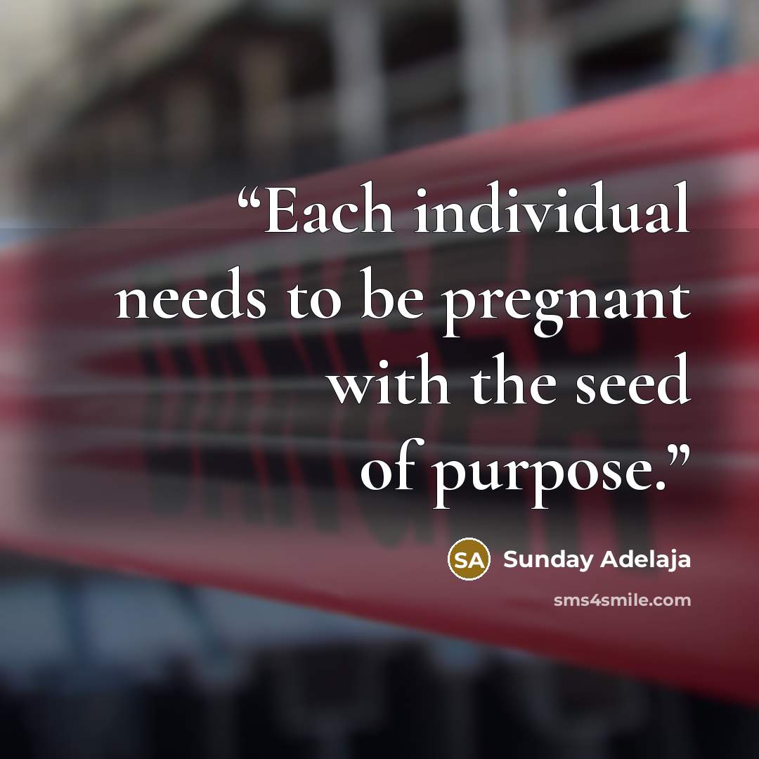 “Each individual needs to be pregnant with the seed of purpose.” quote by Sunday Adelaja