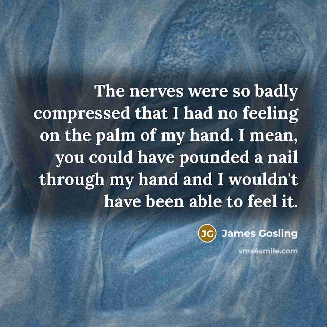 “The nerves were so badly compressed that I had no feeling on the palm of my hand. I mean, you could have pounded a nail through my hand and I wouldn't have been able to feel it.” quote by James Gosling