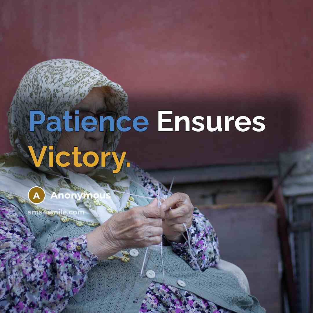 “Patience Ensures Victory.” quote by Anonymous