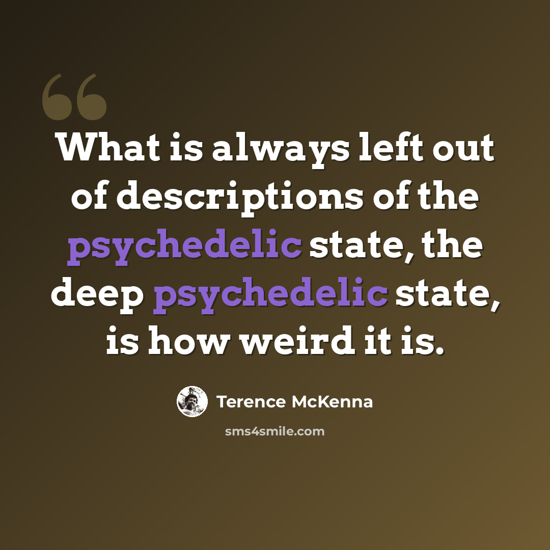 “What is always left out of descriptions of the psychedelic state, the deep psychedelic state, is how weird it is.” quote by Terence McKenna