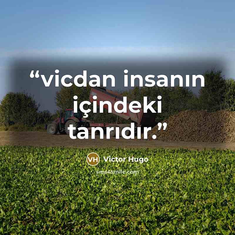 “vicdan insanın içindeki tanrıdır.” quote by Victor Hugo