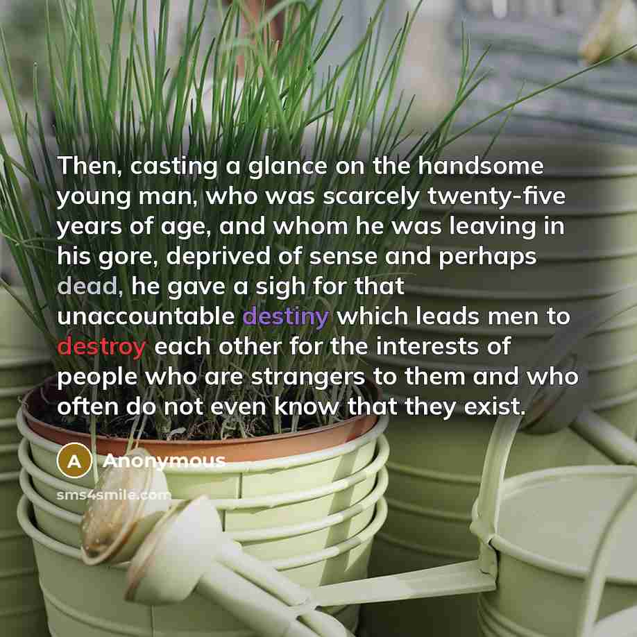 “Then, casting a glance on the handsome young man, who was scarcely twenty-five years of age, and whom he was leaving in his gore, deprived of sense and perhaps dead, he gave a sigh for that unaccountable destiny which leads men to destroy each other for the interests of people who are strangers to…” quote by Anonymous