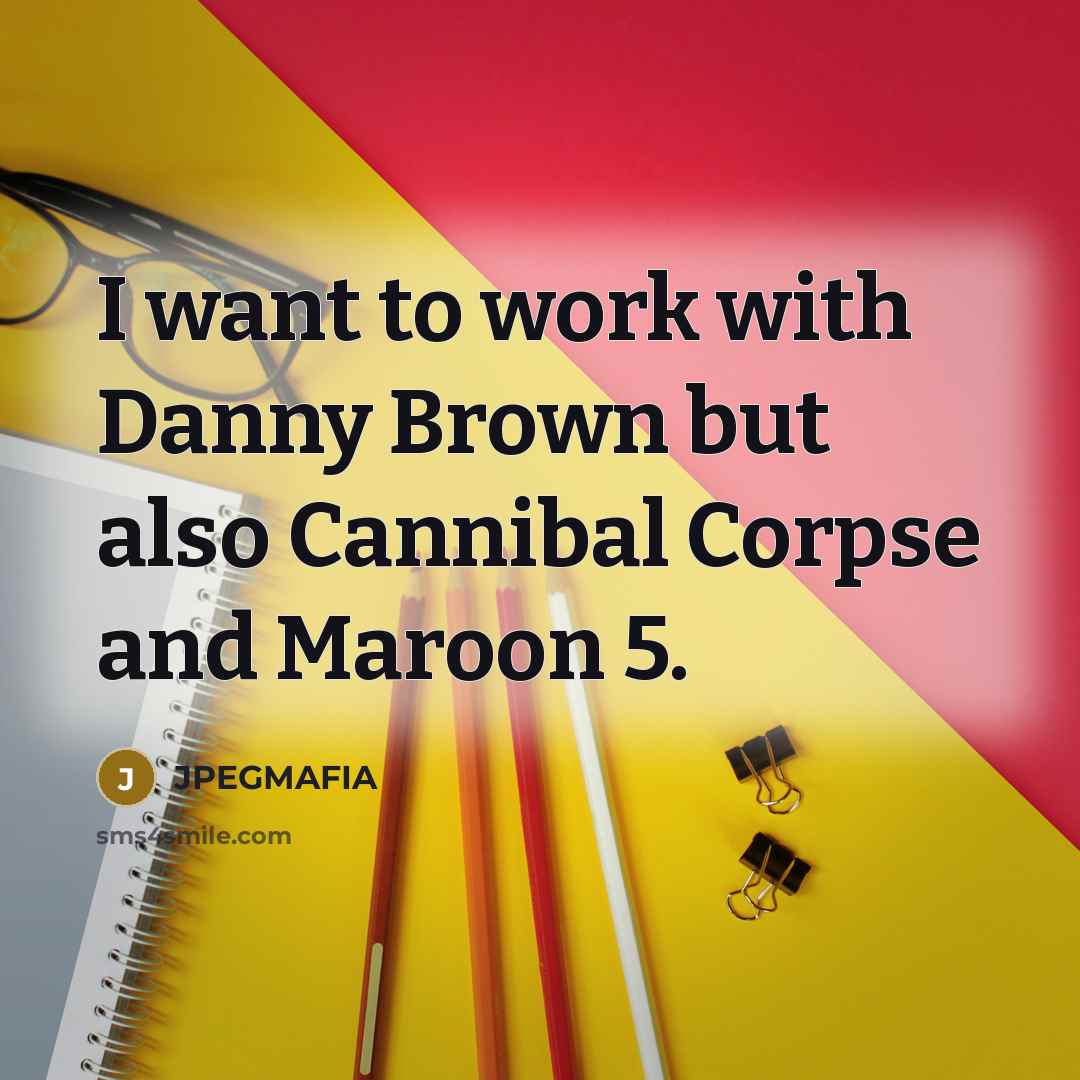 “I want to work with Danny Brown but also Cannibal Corpse and Maroon 5.” quote by JPEGMAFIA