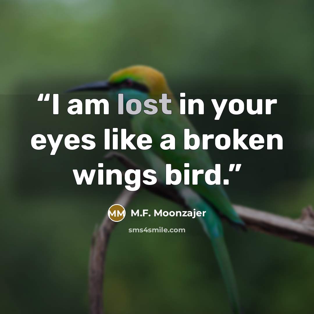 “I am lost in your eyes like a broken wings bird.” quote by M.F. Moonzajer
