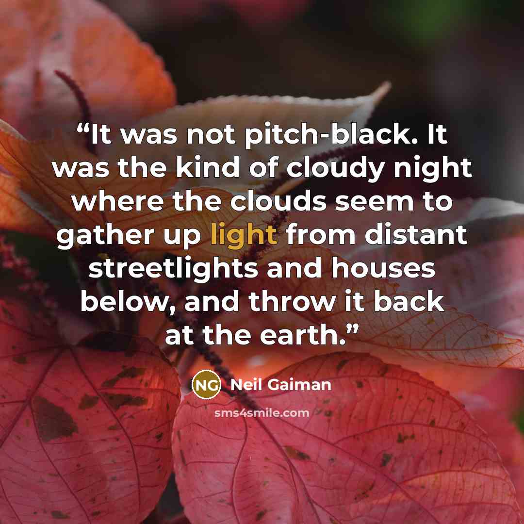“It was not pitch-black. It was the kind of cloudy night where the clouds seem to gather up light from distant streetlights and houses below, and throw it back at the earth.” quote by Neil Gaiman