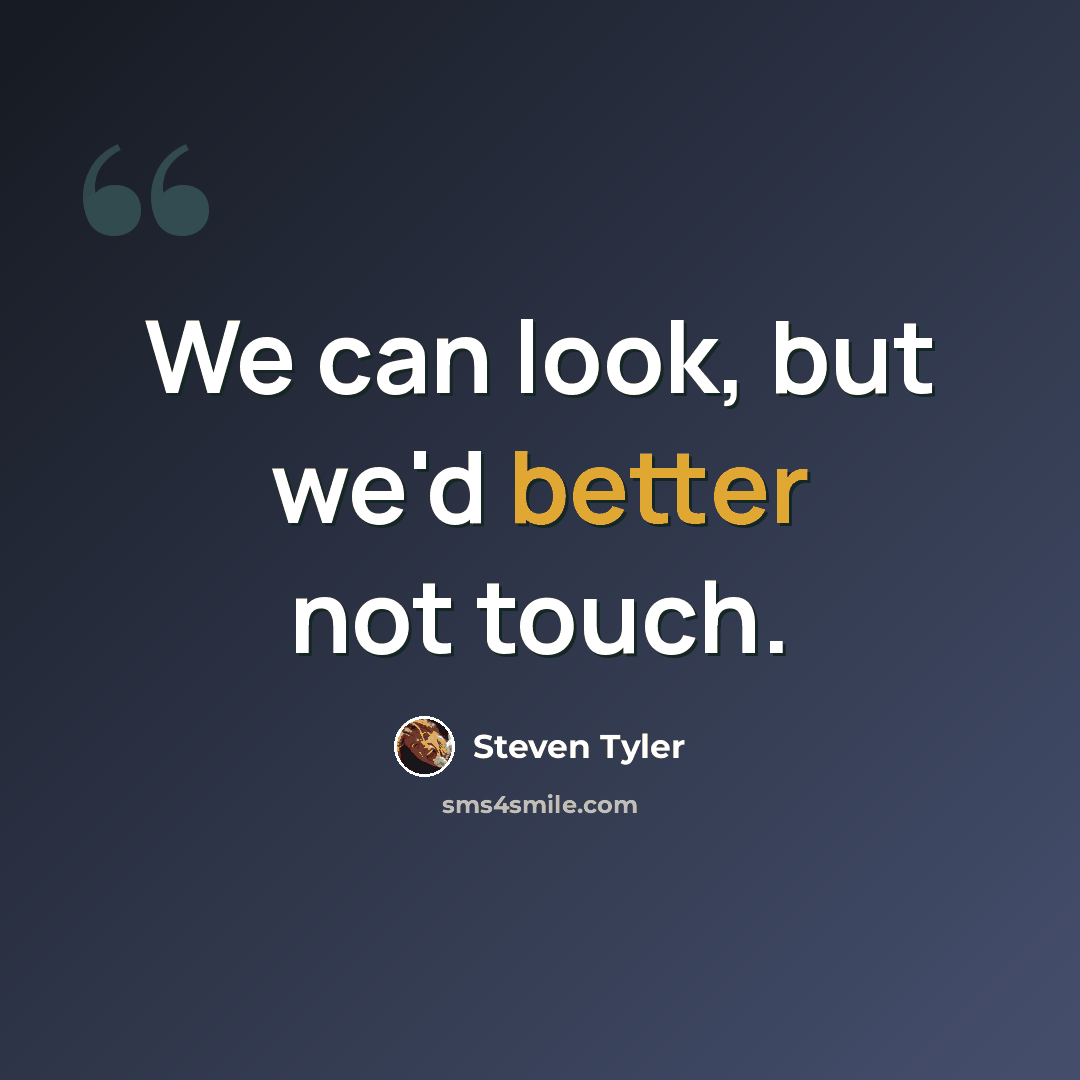 “We can look, but we'd better not touch.” quote by Steven Tyler