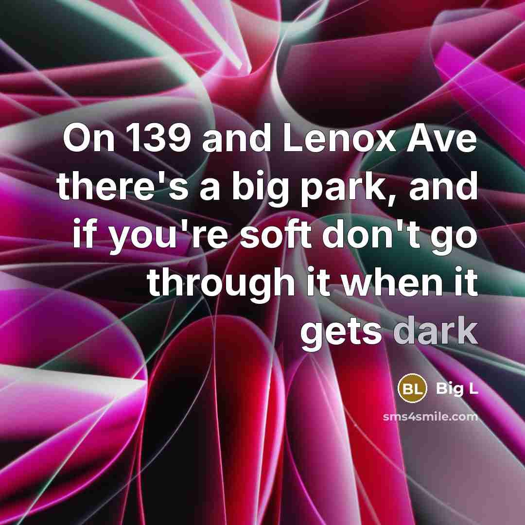 “On 139 and Lenox Ave there's a big park, and if you're soft don't go through it when it gets dark” quote by Big L