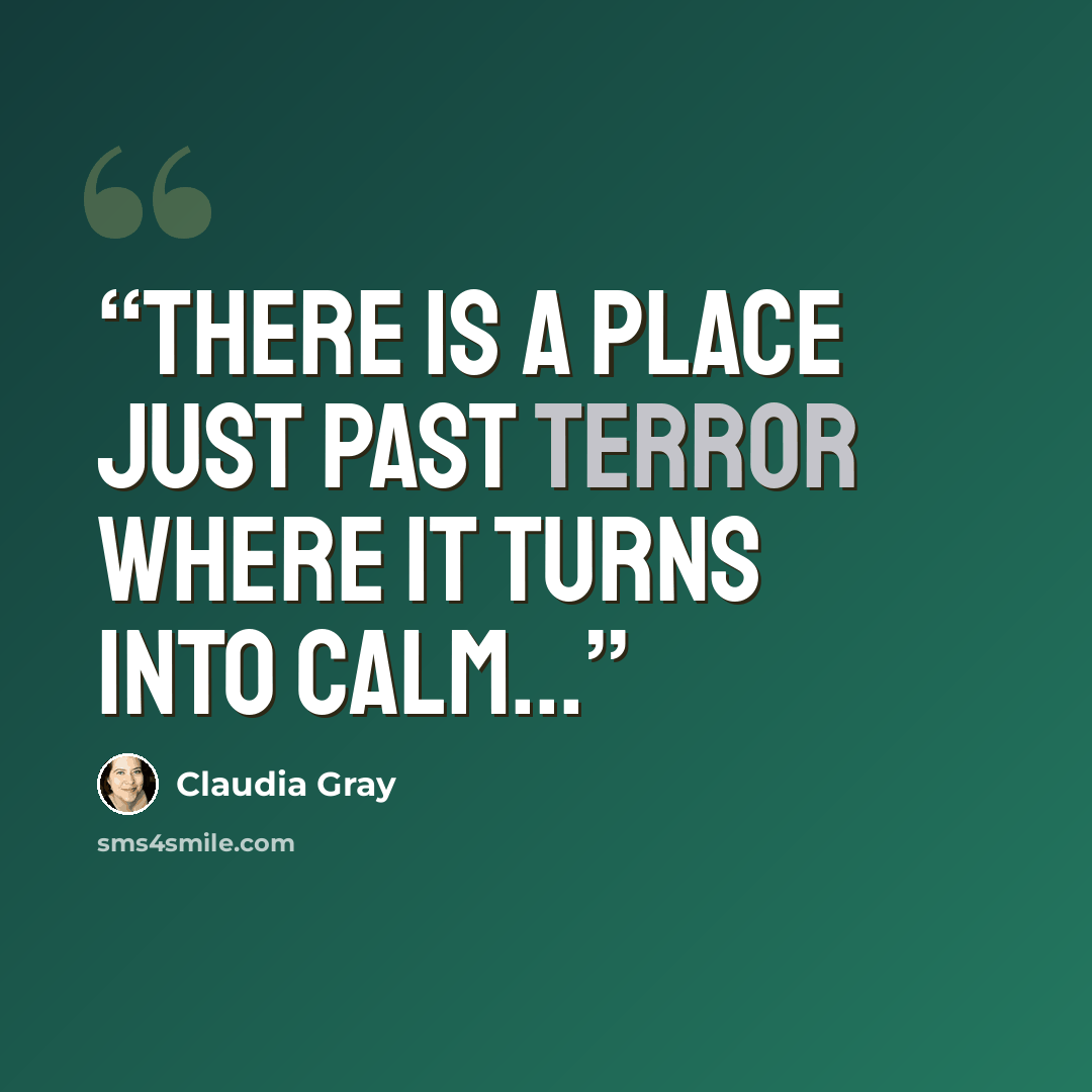 “There is a place just past terror where it turns into calm...” quote by Claudia Gray