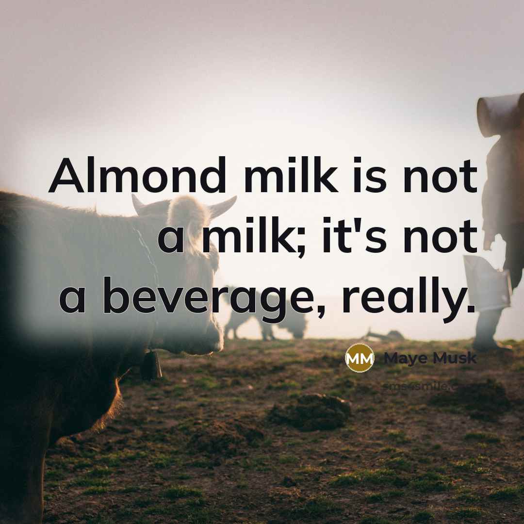 “Almond milk is not a milk; it's not a beverage, really.” quote by Maye Musk