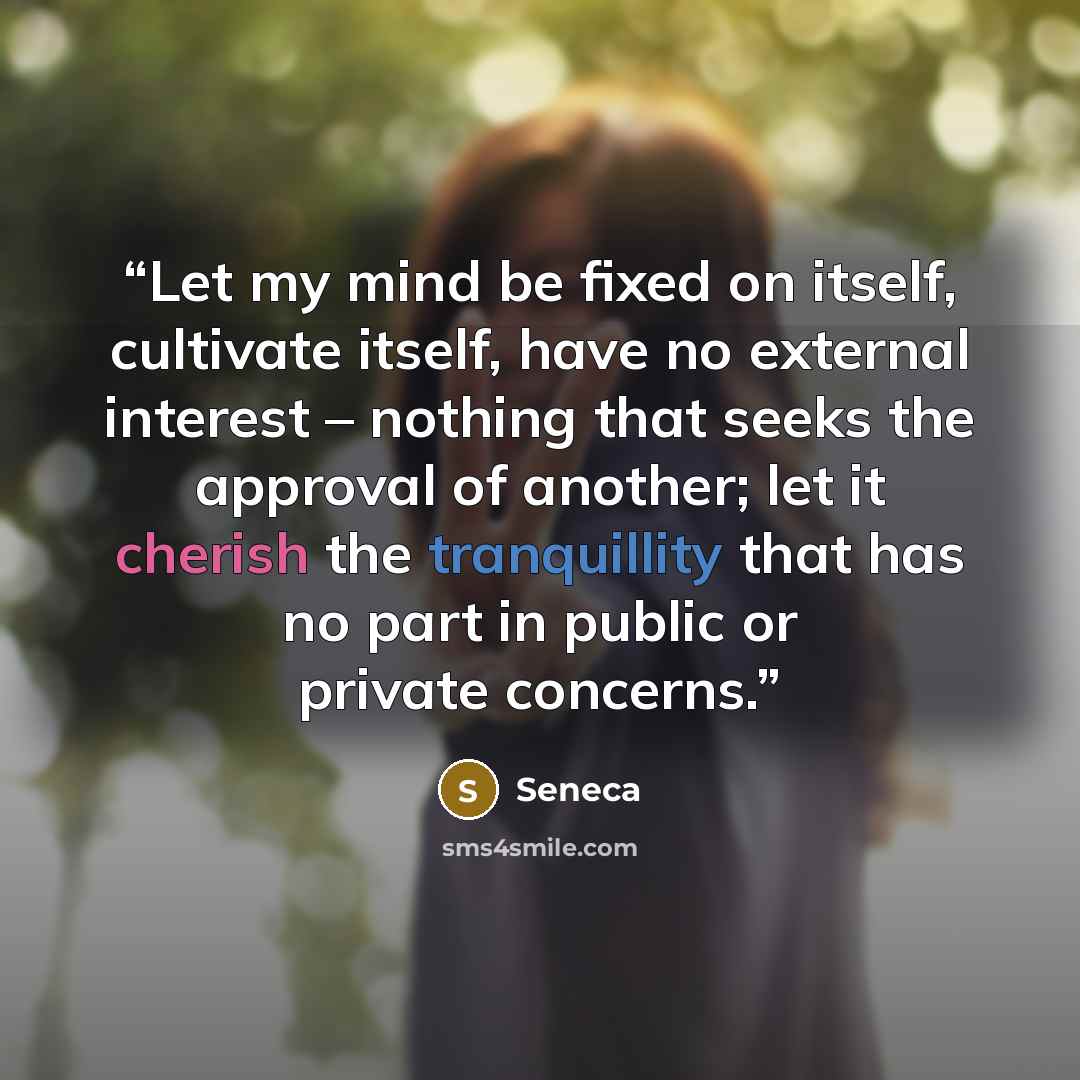 “Let my mind be fixed on itself, cultivate itself, have no external interest – nothing that seeks the approval of another; let it cherish the tranquillity that has no part in public or private concerns.” quote by Seneca