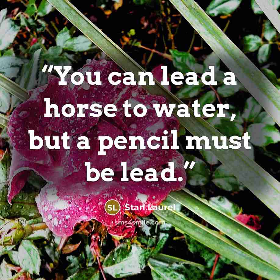 “You can lead a horse to water, but a pencil must be lead.” quote by Stan Laurel
