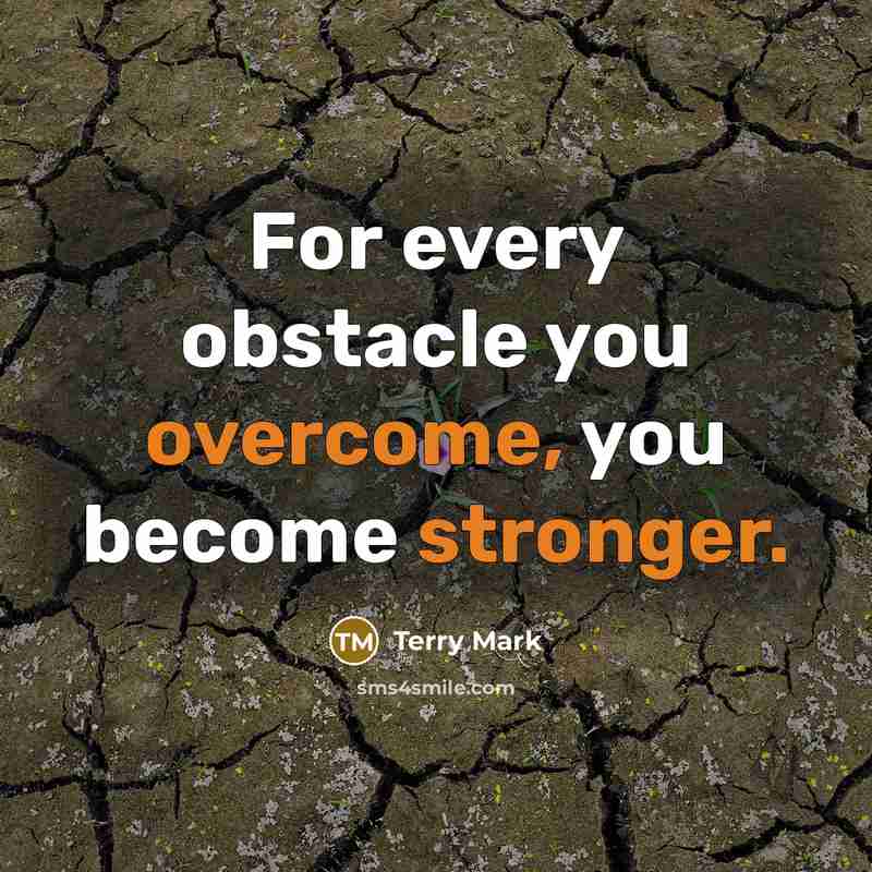 “For every obstacle you overcome, you become stronger.” quote by Terry Mark