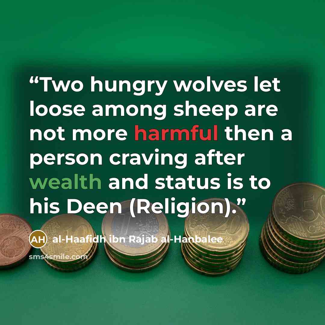 “Two hungry wolves let loose among sheep are not more harmful then a person craving after wealth and status is to his Deen (Religion).” quote by al-Haafidh ibn Rajab al-Hanbalee