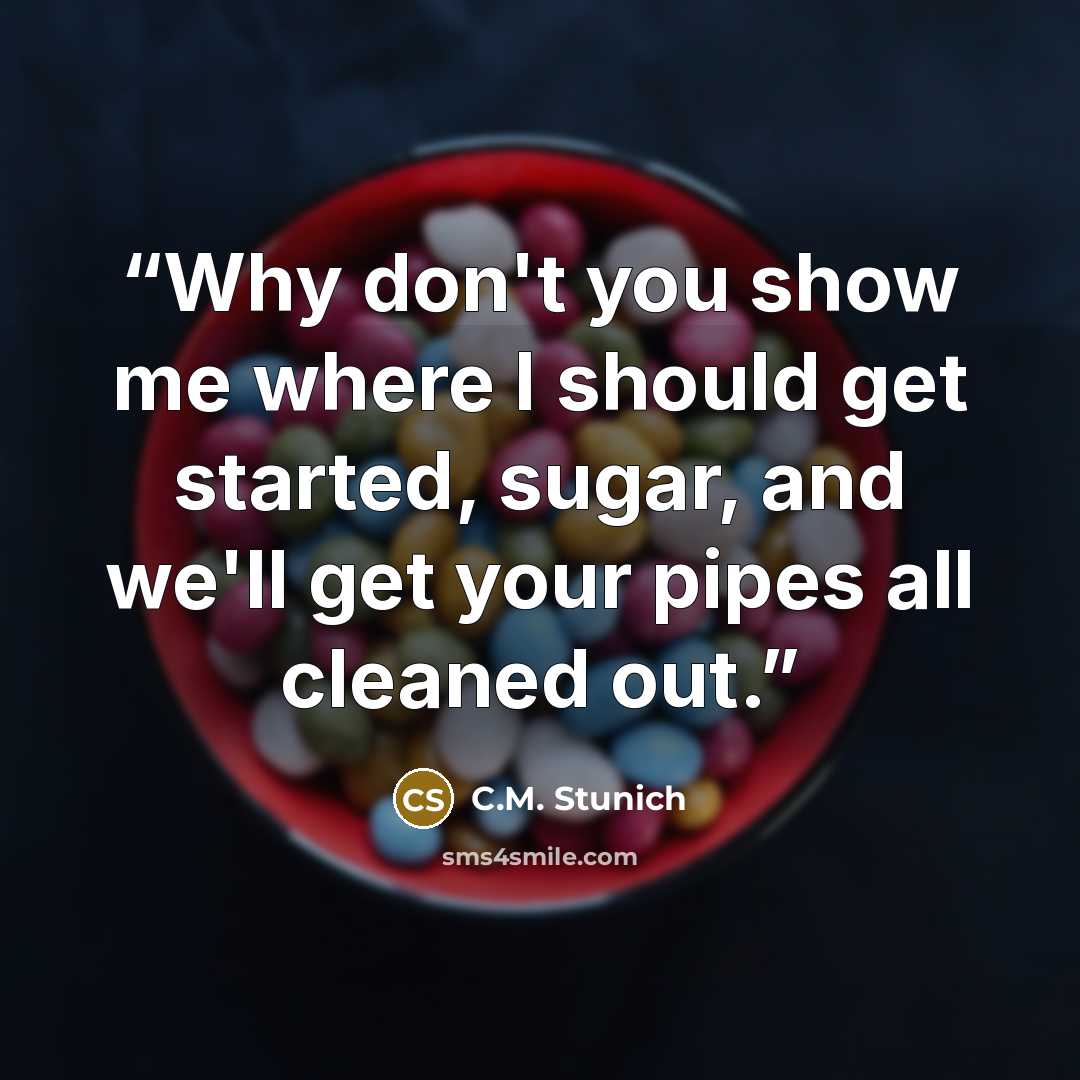 “Why don't you show me where I should get started, sugar, and we'll get your pipes all cleaned out.” quote by C.M. Stunich