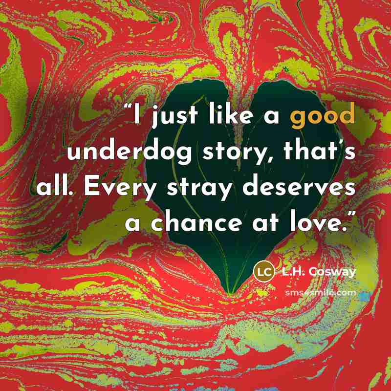“I just like a good underdog story, that’s all. Every stray deserves a chance at love.” quote by L.H. Cosway