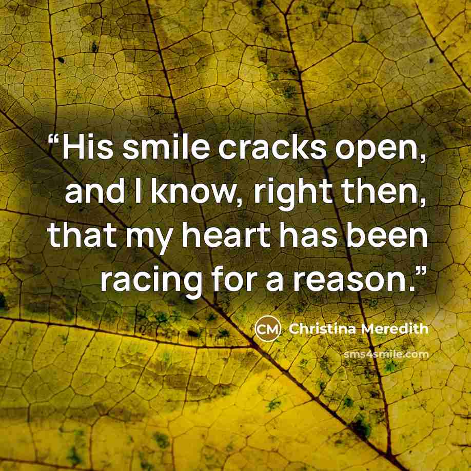 “His smile cracks open, and I know, right then, that my heart has been racing for a reason.” quote by Christina Meredith