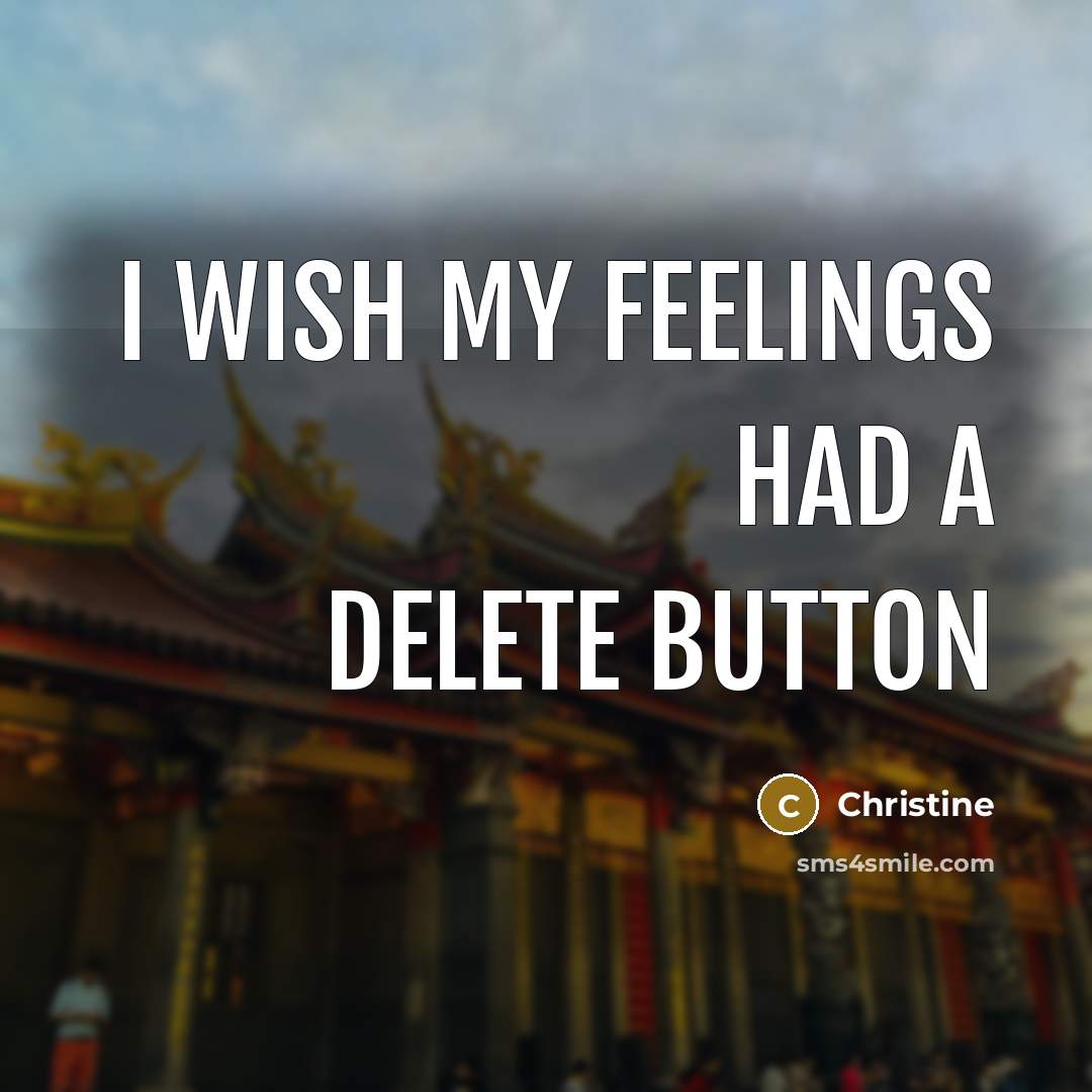 “I wish my feelings had a delete button” quote by Christine