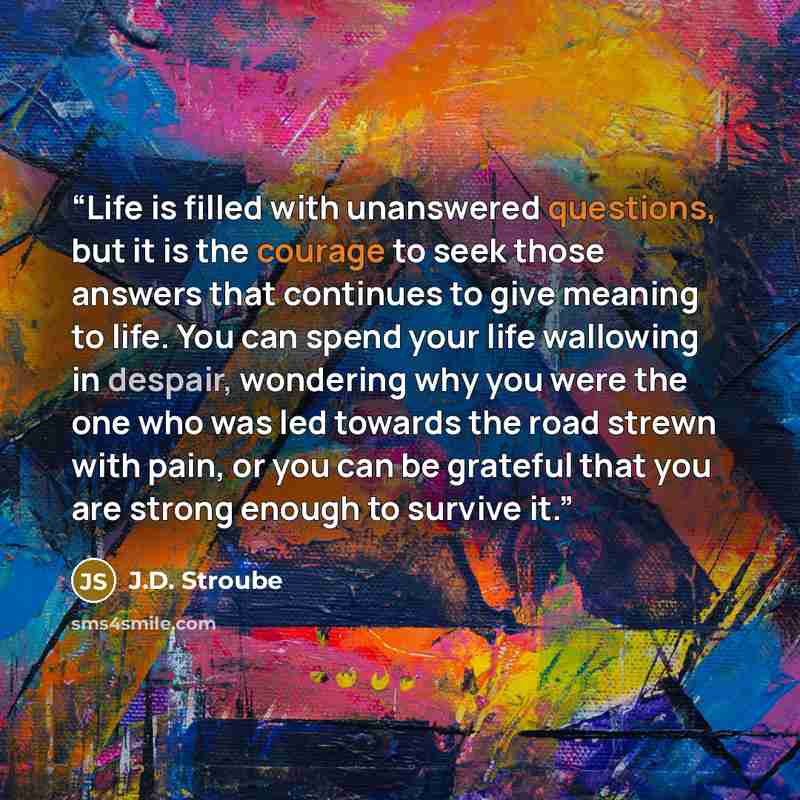 “Life is filled with unanswered questions, but it is the courage to seek those answers that continues to give meaning to life. You can spend your life wallowing in despair, wondering why you were the one who was led towards the road strewn with pain, or you can be grateful that you are strong…” quote by J.D. Stroube