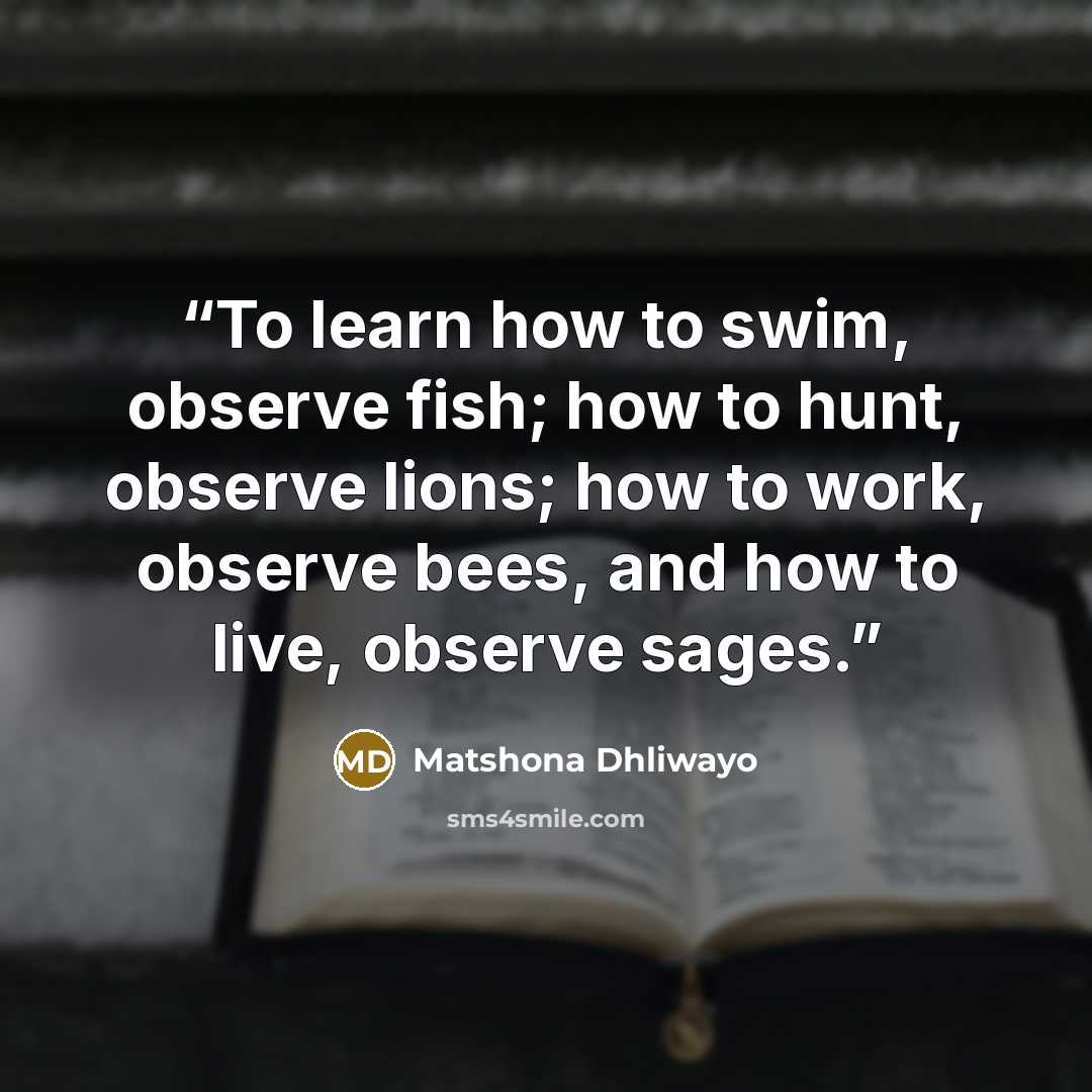 “To learn how to swim, observe fish; how to hunt, observe lions; how to work, observe bees, and how to live, observe sages.” quote by Matshona Dhliwayo