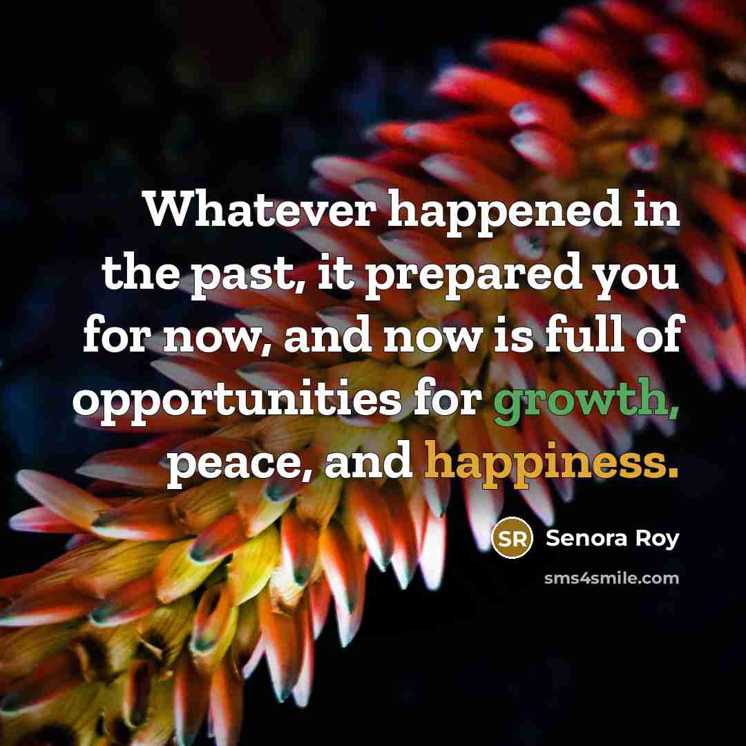 “Whatever happened in the past, it prepared you for now, and now is full of opportunities for growth, peace, and happiness.” quote by Senora Roy