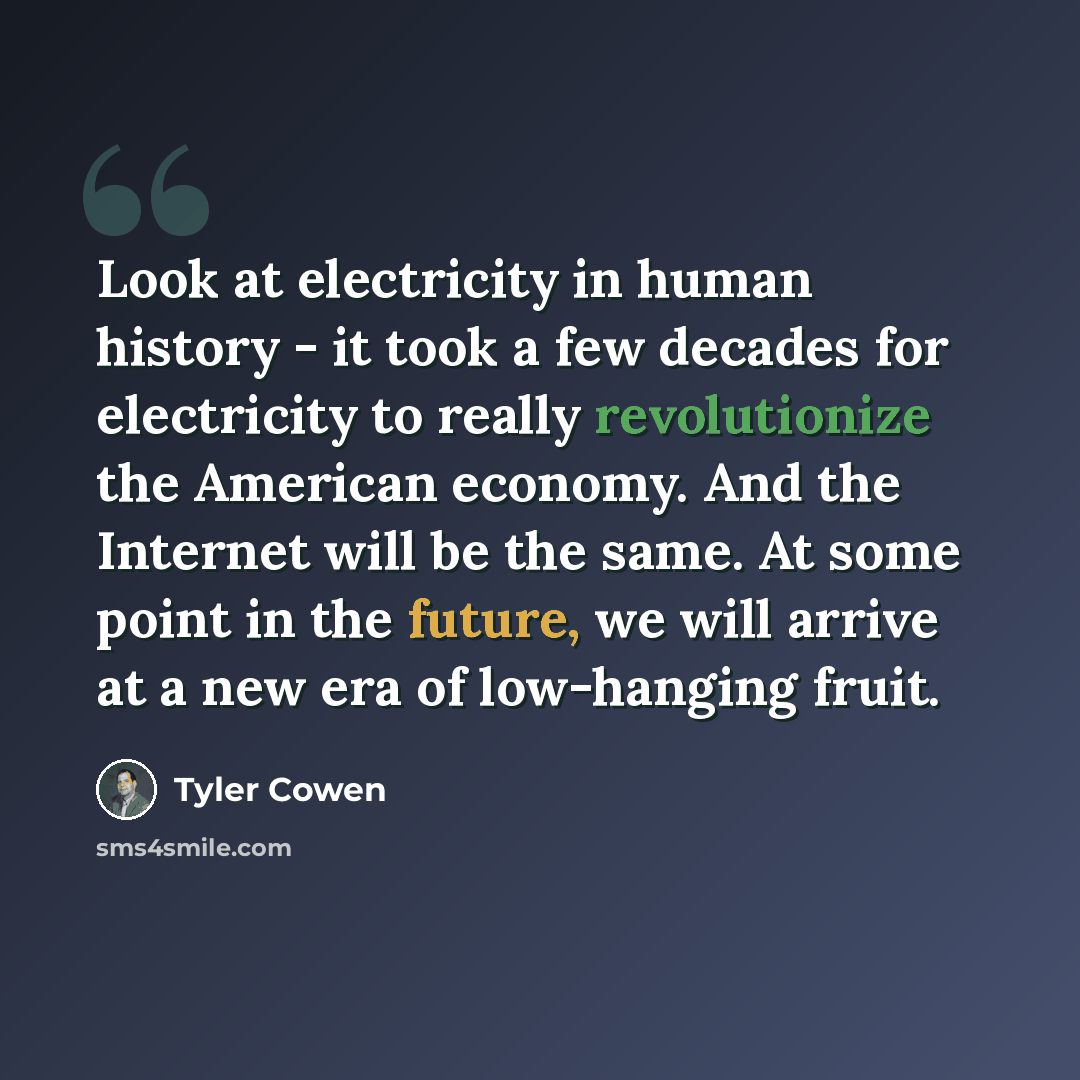 “Look at electricity in human history - it took a few decades for electricity to really revolutionize the American economy. And the Internet will be the same. At some point in the future, we will arrive at a new era of low-hanging fruit.” quote by Tyler Cowen