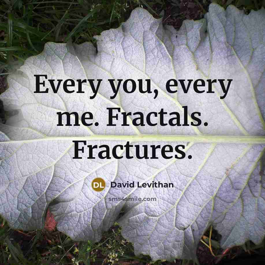 “Every you, every me. Fractals. Fractures.” quote by David Levithan