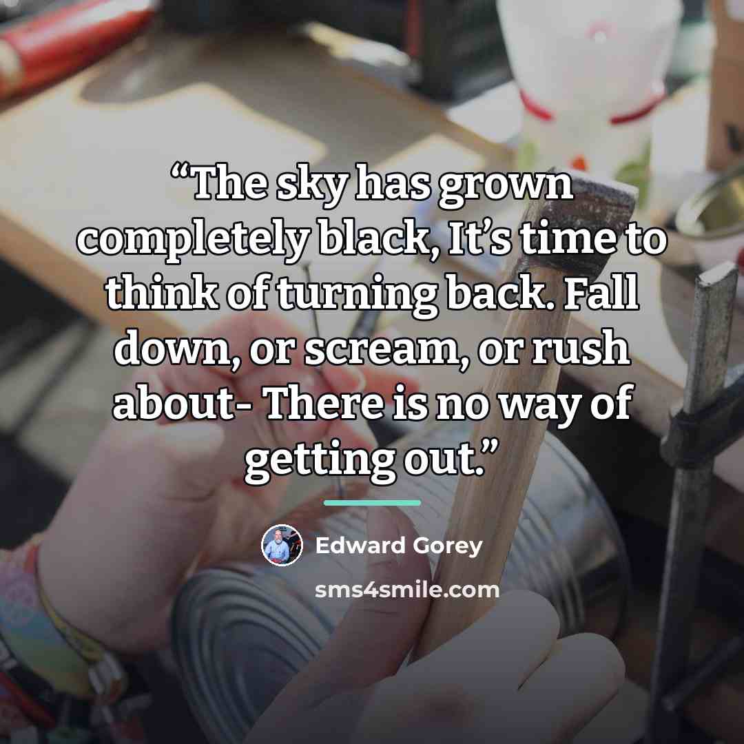 “The sky has grown completely black, It’s time to think of turning back. Fall down, or scream, or rush about- There is no way of getting out.” quote by Edward Gorey