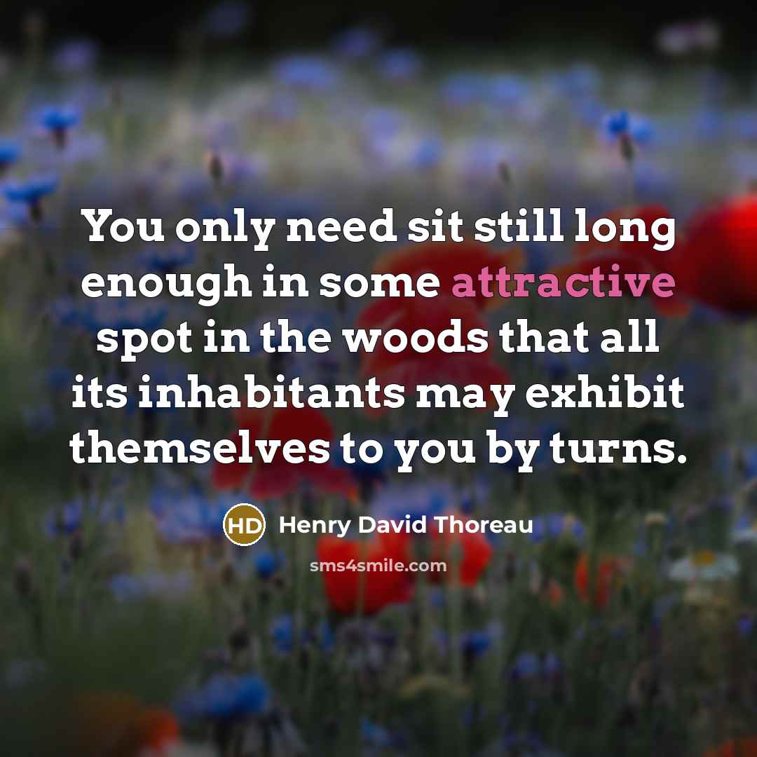 “You only need sit still long enough in some attractive spot in the woods that all its inhabitants may exhibit themselves to you by turns.” quote by Henry David Thoreau