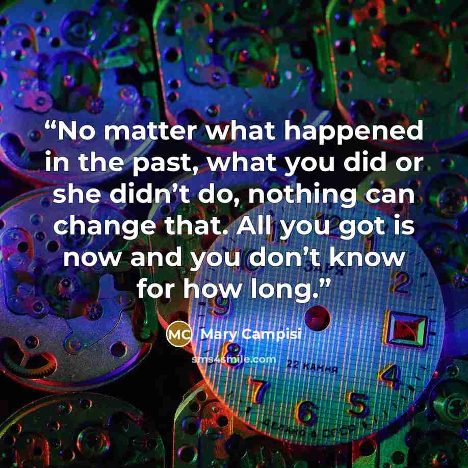 “No matter what happened in the past, what you did or she didn’t do, nothing can change that. All you got is now and you don’t know for how long.” quote by Mary Campisi