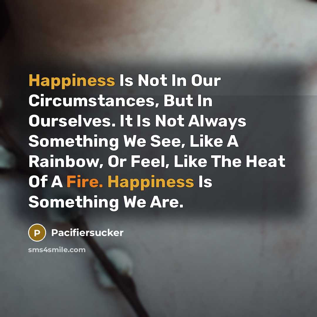 “Happiness Is Not In Our Circumstances, But In Ourselves. It Is Not Always Something We See, Like A Rainbow, Or Feel, Like The Heat Of A Fire. Happiness Is Something We Are.” quote by Pacifiersucker