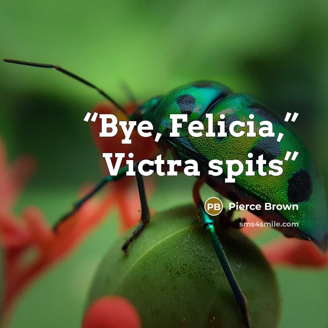 “Bye, Felicia,” Victra spits” quote by Pierce Brown