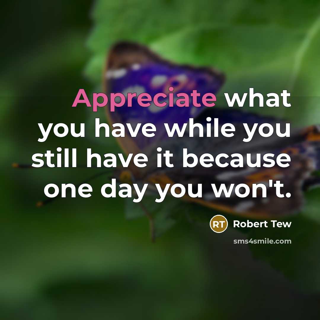“Appreciate what you have while you still have it because one day you won't.” quote by Robert Tew