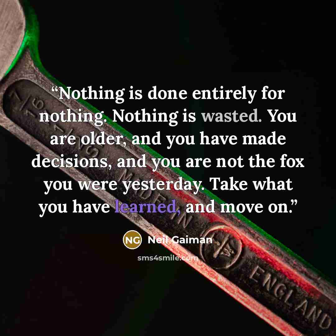 “Nothing is done entirely for nothing. Nothing is wasted. You are older, and you have made decisions, and you are not the fox you were yesterday. Take what you have learned, and move on.” quote by Neil Gaiman