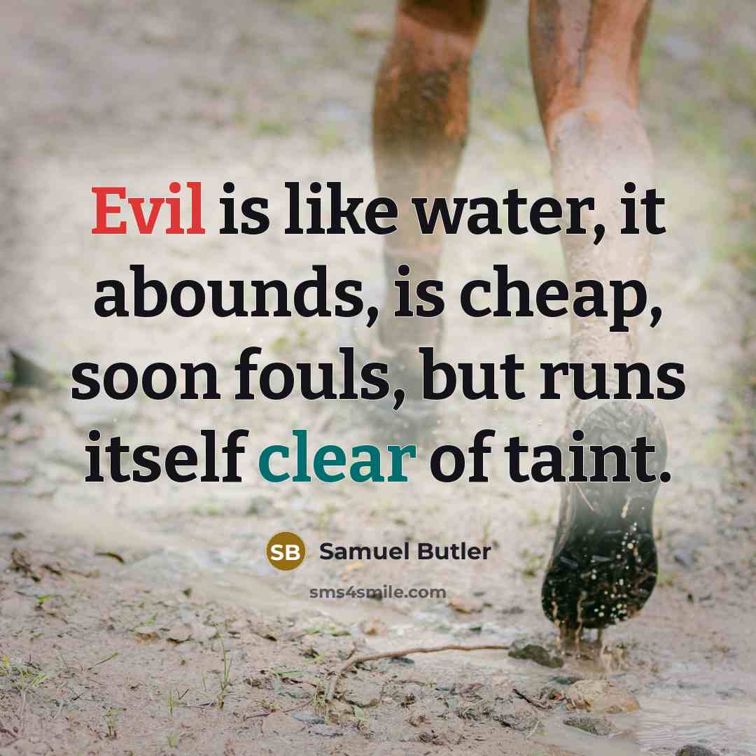 “Evil is like water, it abounds, is cheap, soon fouls, but runs itself clear of taint.” quote by Samuel Butler