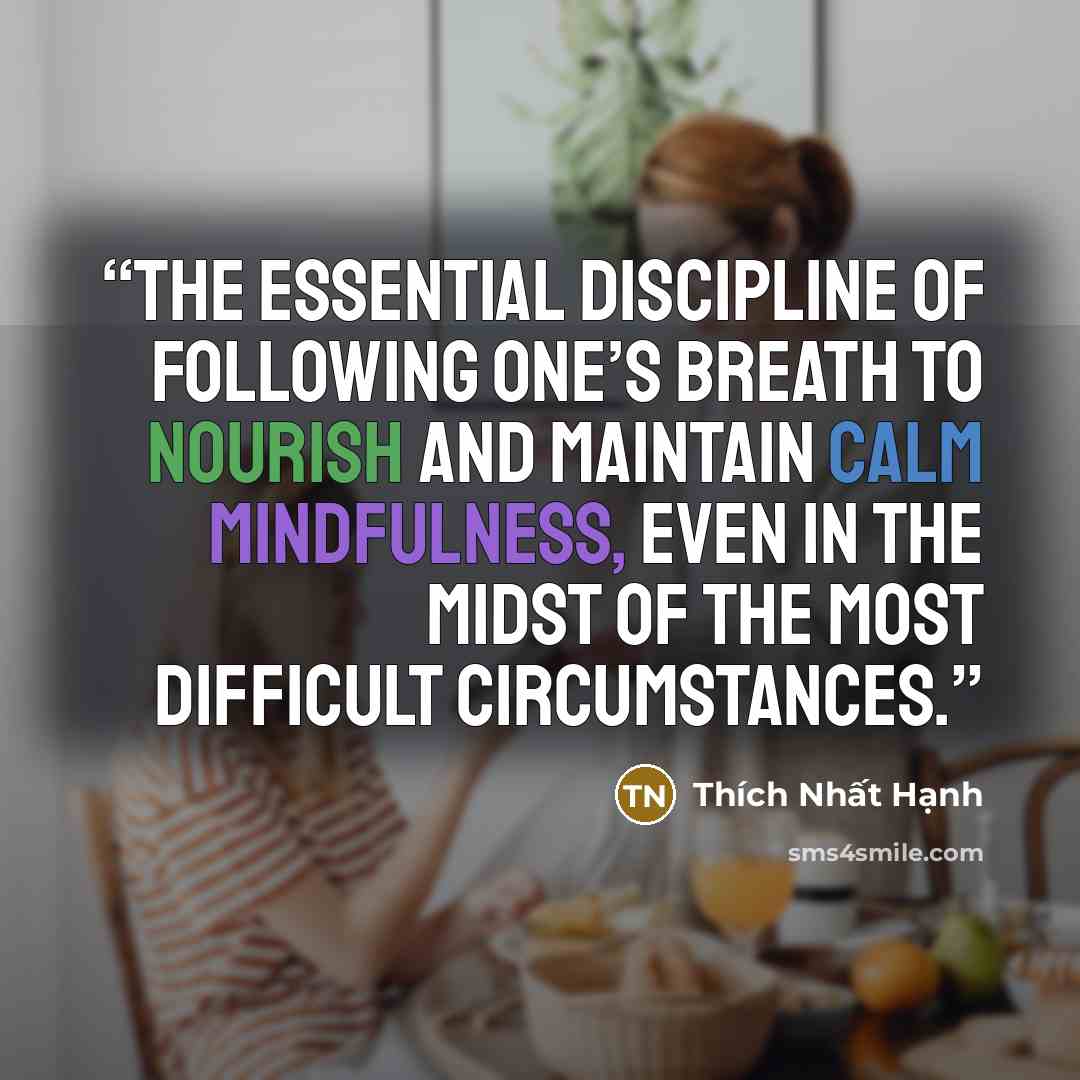 “the essential discipline of following one’s breath to nourish and maintain calm mindfulness, even in the midst of the most difficult circumstances.” quote by Thích Nhất Hạnh
