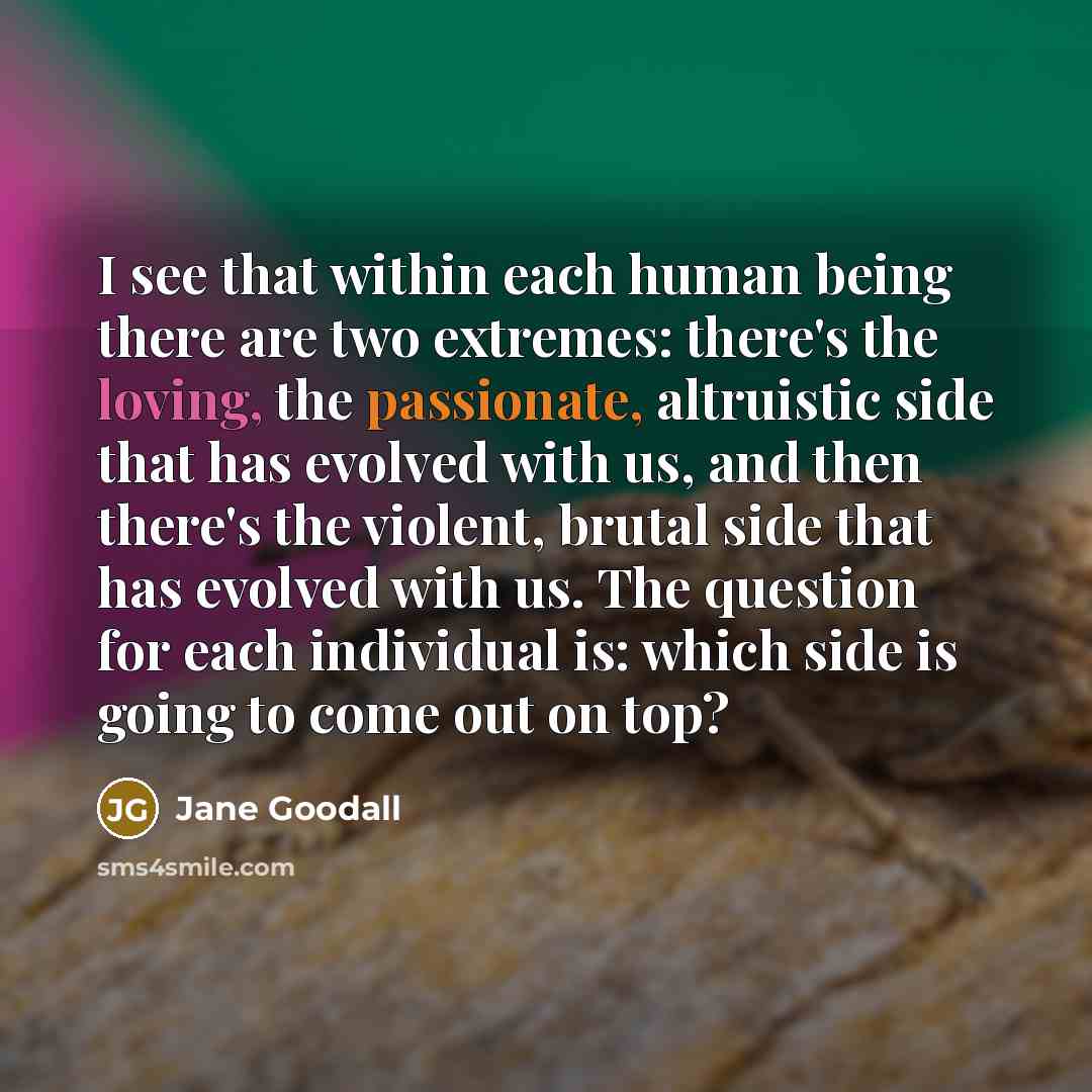 “I see that within each human being there are two extremes: there's the loving, the passionate, altruistic side that has evolved with us, and then there's the violent, brutal side that has evolved with us. The question for each individual is: which side is going to come out on top?” quote by Jane Goodall