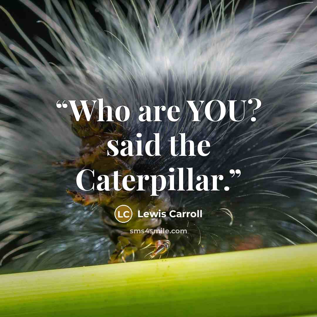 “Who are YOU? said the Caterpillar.” quote by Lewis Carroll