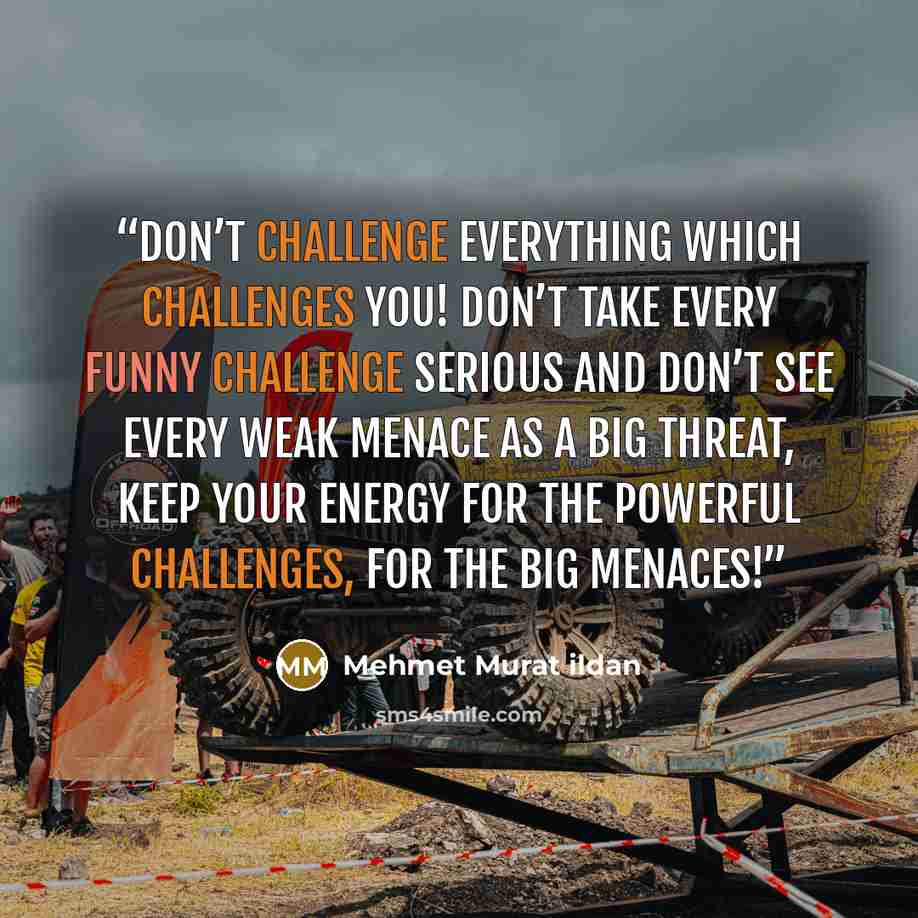 “Don’t challenge everything which challenges you! Don’t take every funny challenge serious and don’t see every weak menace as a big threat, keep your energy for the powerful challenges, for the big menaces!” quote by Mehmet Murat ildan