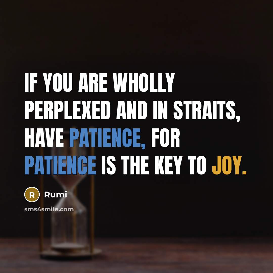 “If you are wholly perplexed and in straits, have patience, for patience is the key to joy.” quote by Rumi