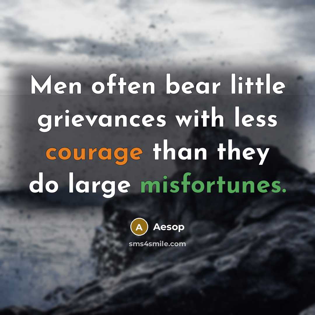 “Men often bear little grievances with less courage than they do large misfortunes.” quote by Aesop