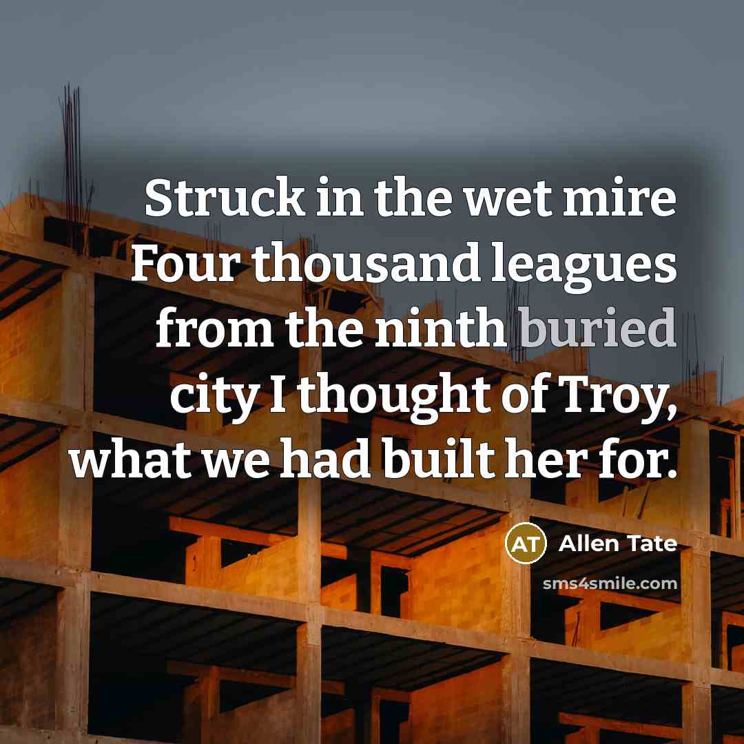 “Struck in the wet mire Four thousand leagues from the ninth buried city I thought of Troy, what we had built her for.” quote by Allen Tate