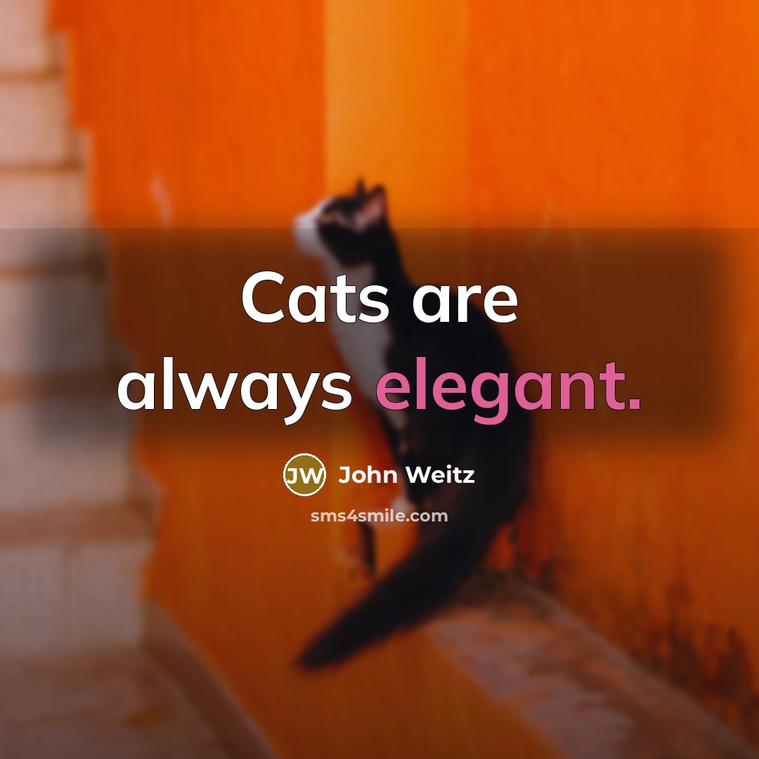 “Cats are always elegant.” quote by John Weitz